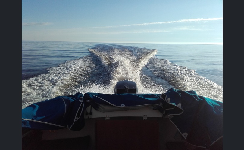 Käldmar 685 685-kuva-1